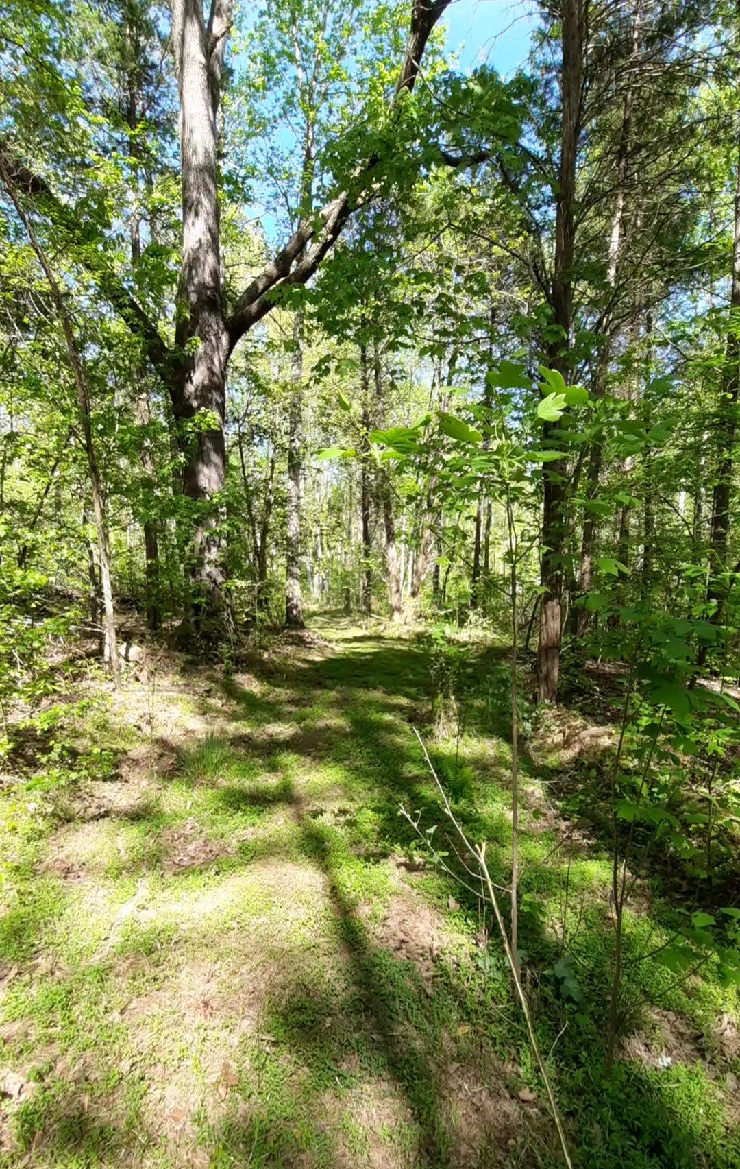 195 Atchison Road Camden TN 38320