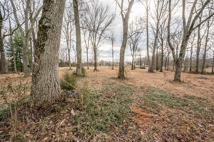 255 Cherokee Dock Road Lebanon TN 37087