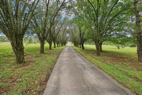 3411 Murphy Lane Columbia TN 38401
