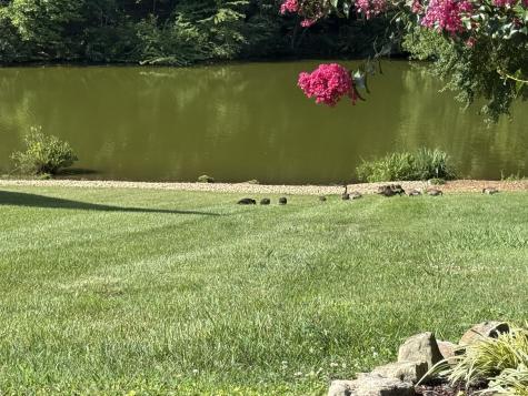 18 Setters Ln, W Tullahoma TN 37388