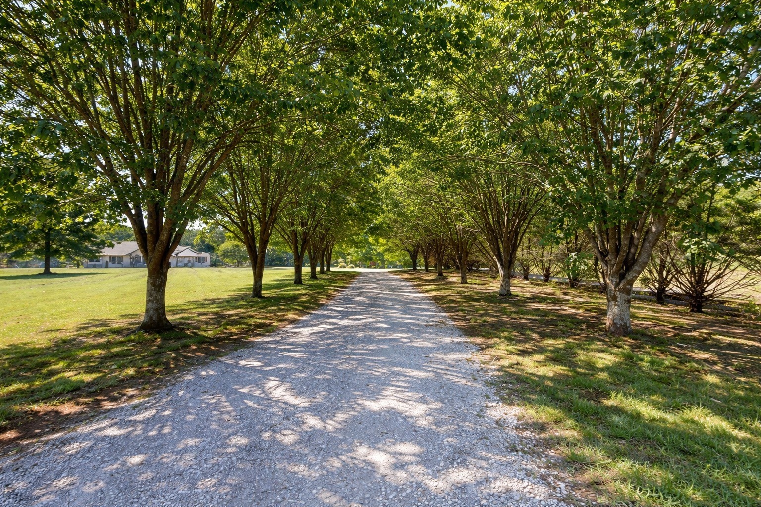 2622 Poplar Knoll Drive Columbia TN 38401