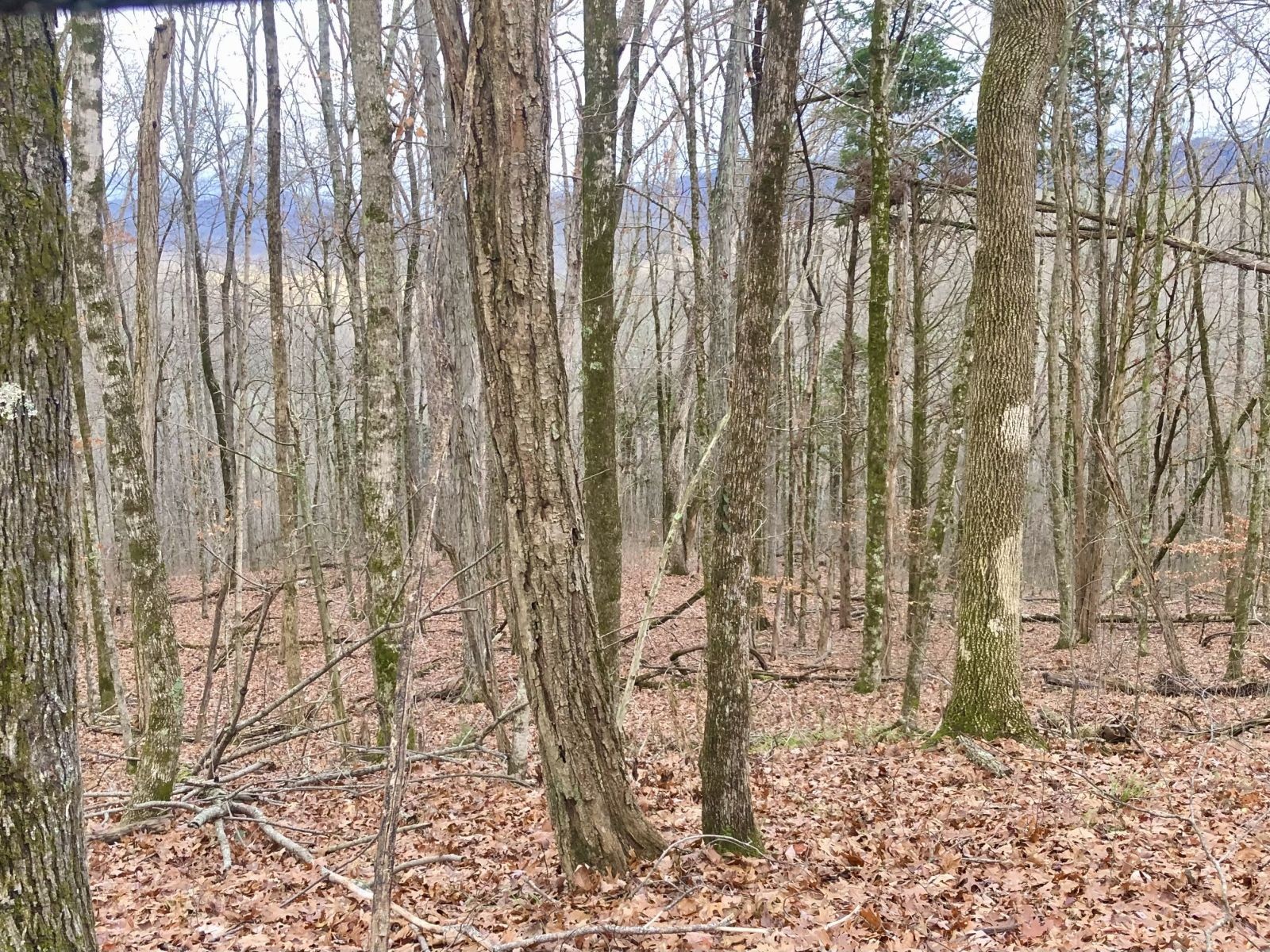 0 Monterey Highway Monterey TN 38574