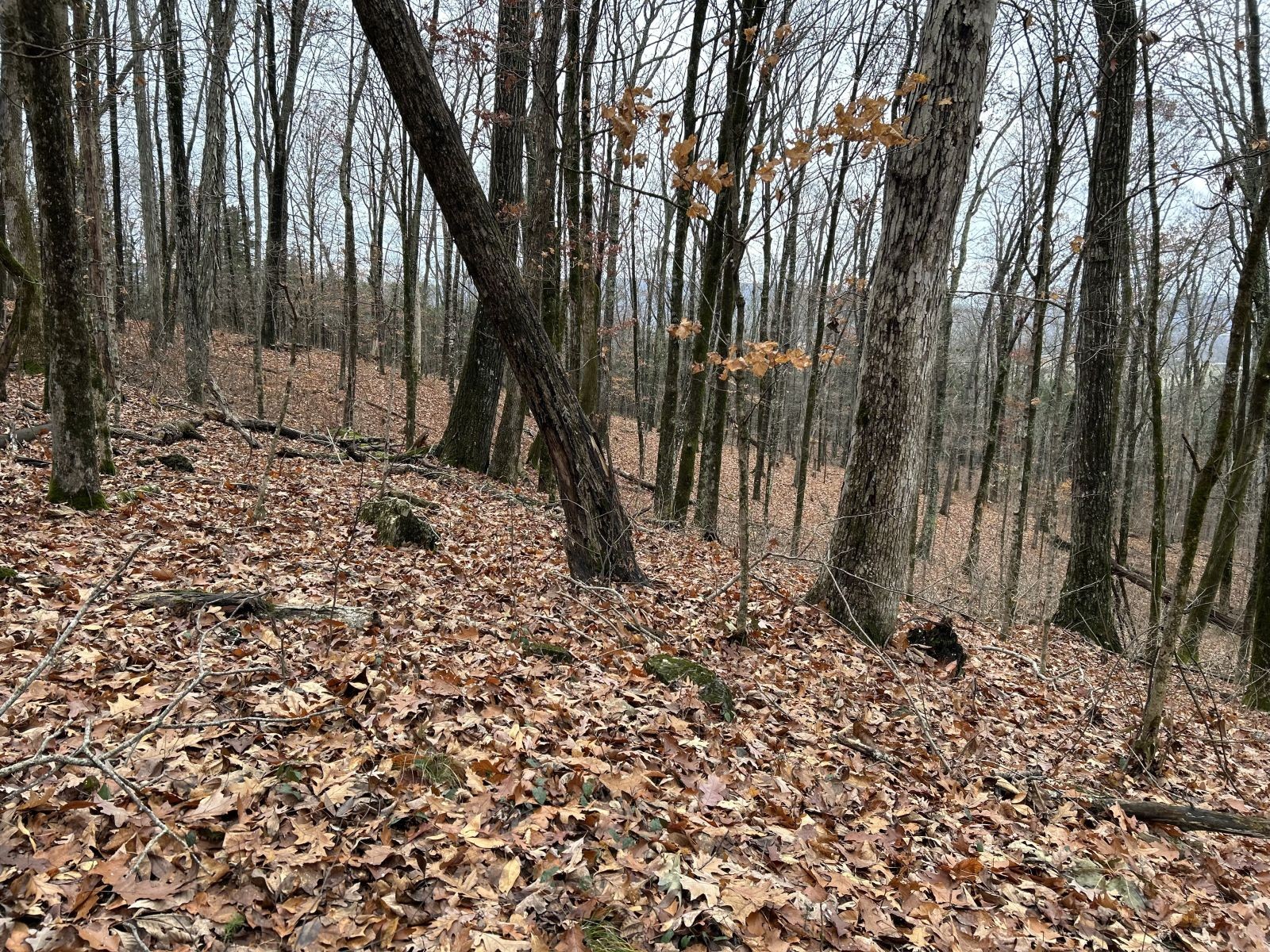 0 Monterey Highway Monterey TN 38574