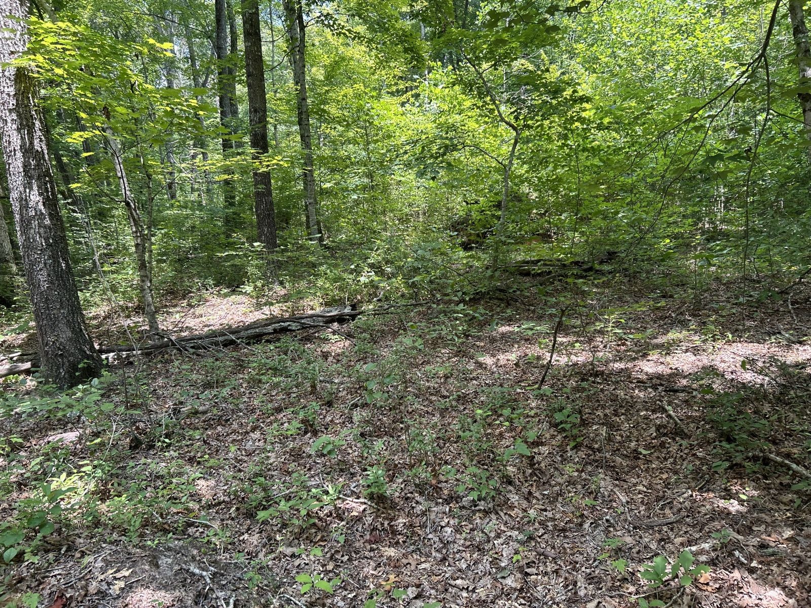 0 Monterey Highway Monterey TN 38574