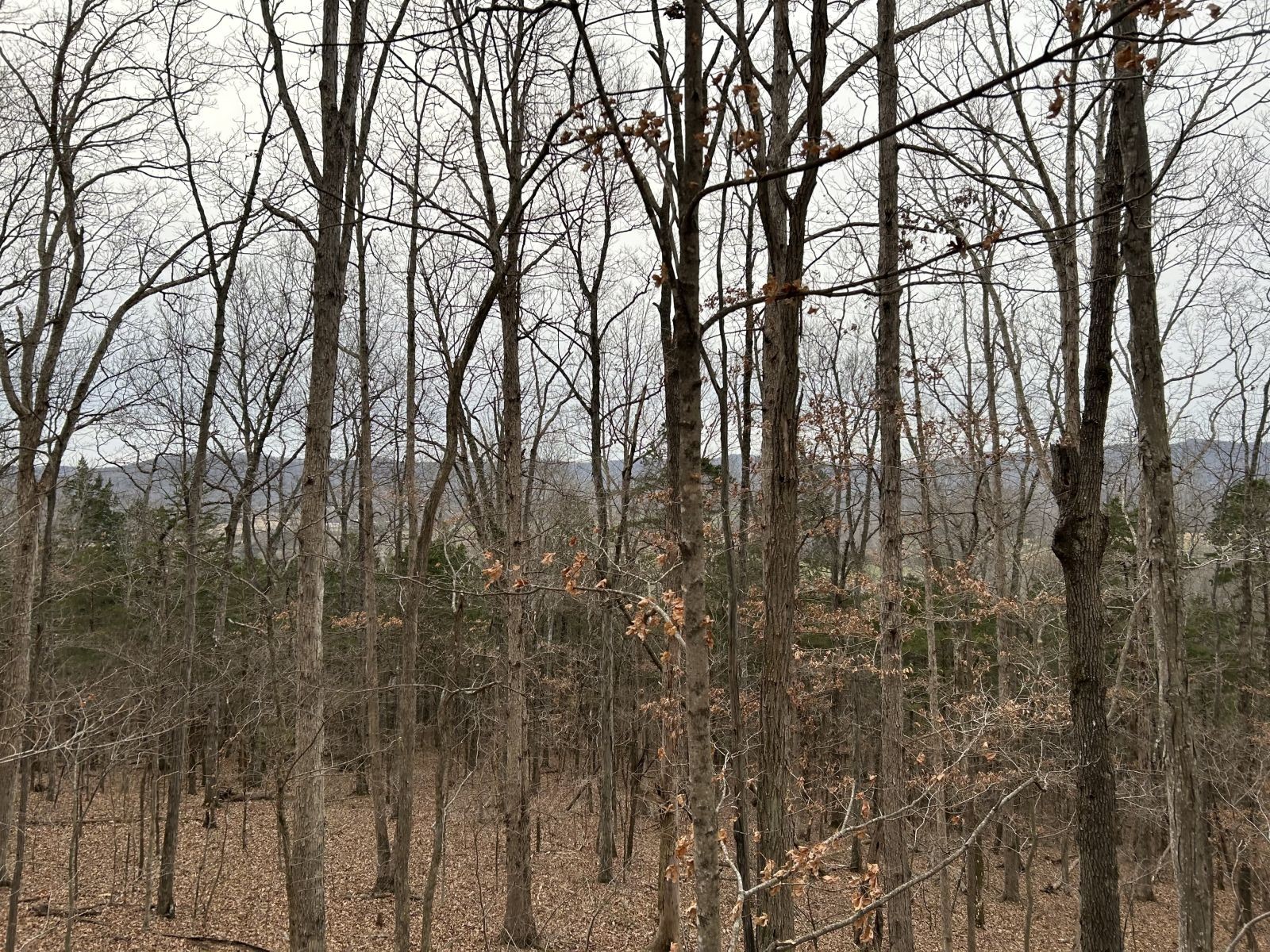 0 Monterey Highway Monterey TN 38574