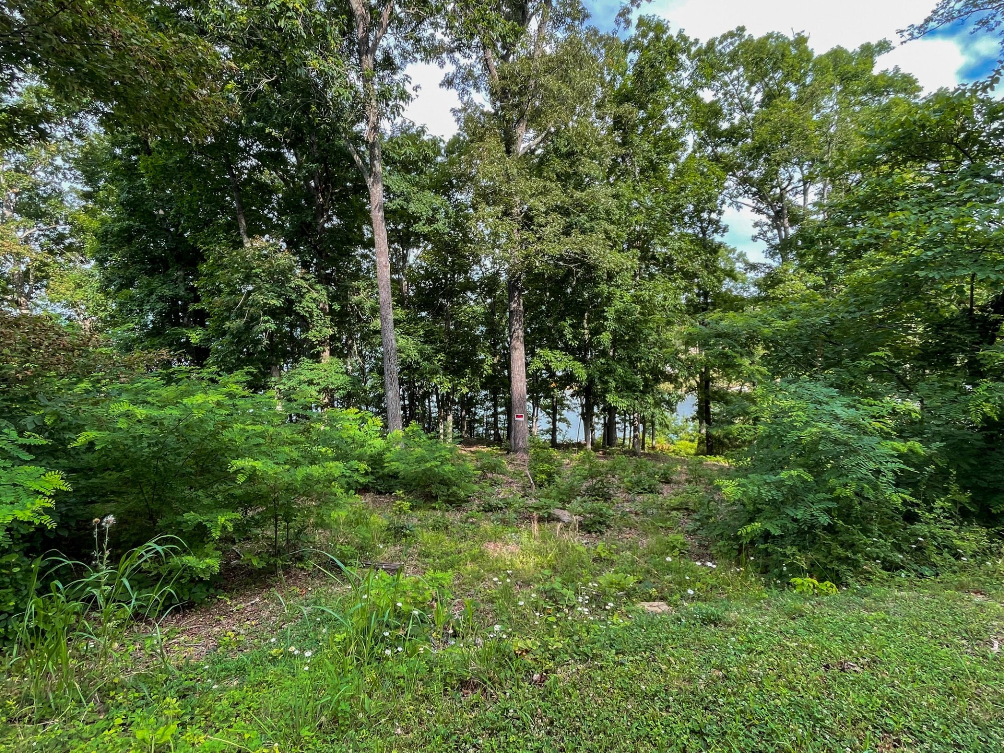 1147 Lakefront Place Baneberry TN 37890