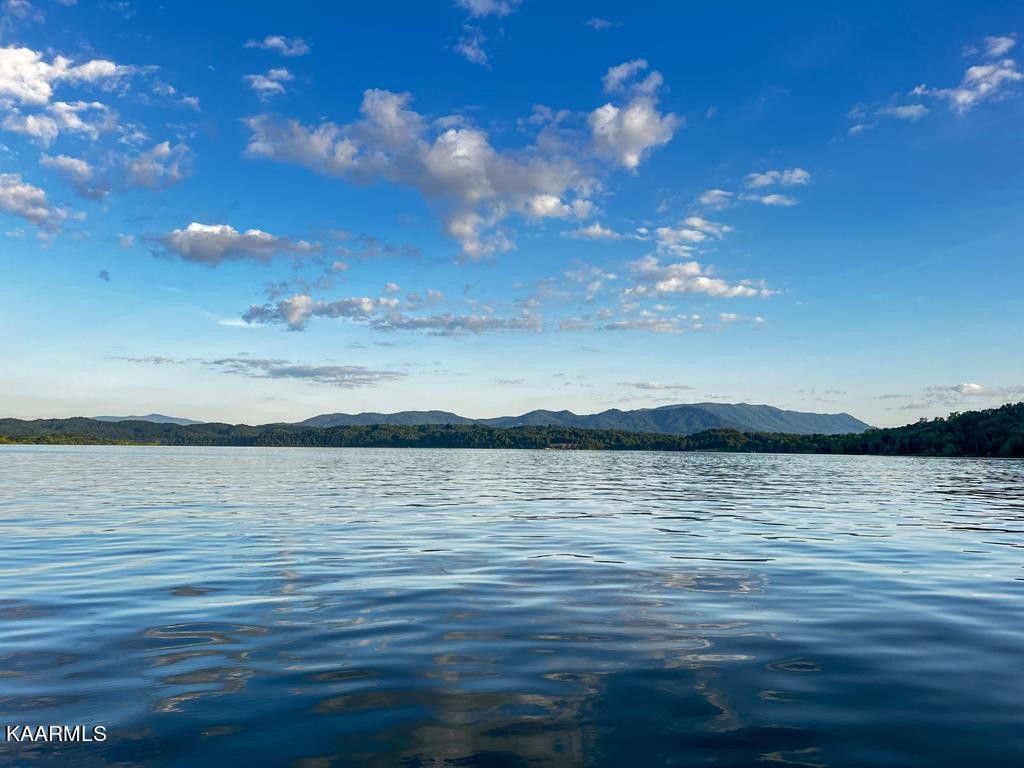 1147 Lakefront Place Baneberry TN 37890