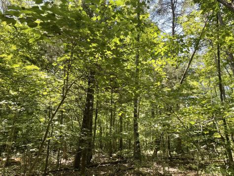 0 Tate Trail Sewanee TN 37375