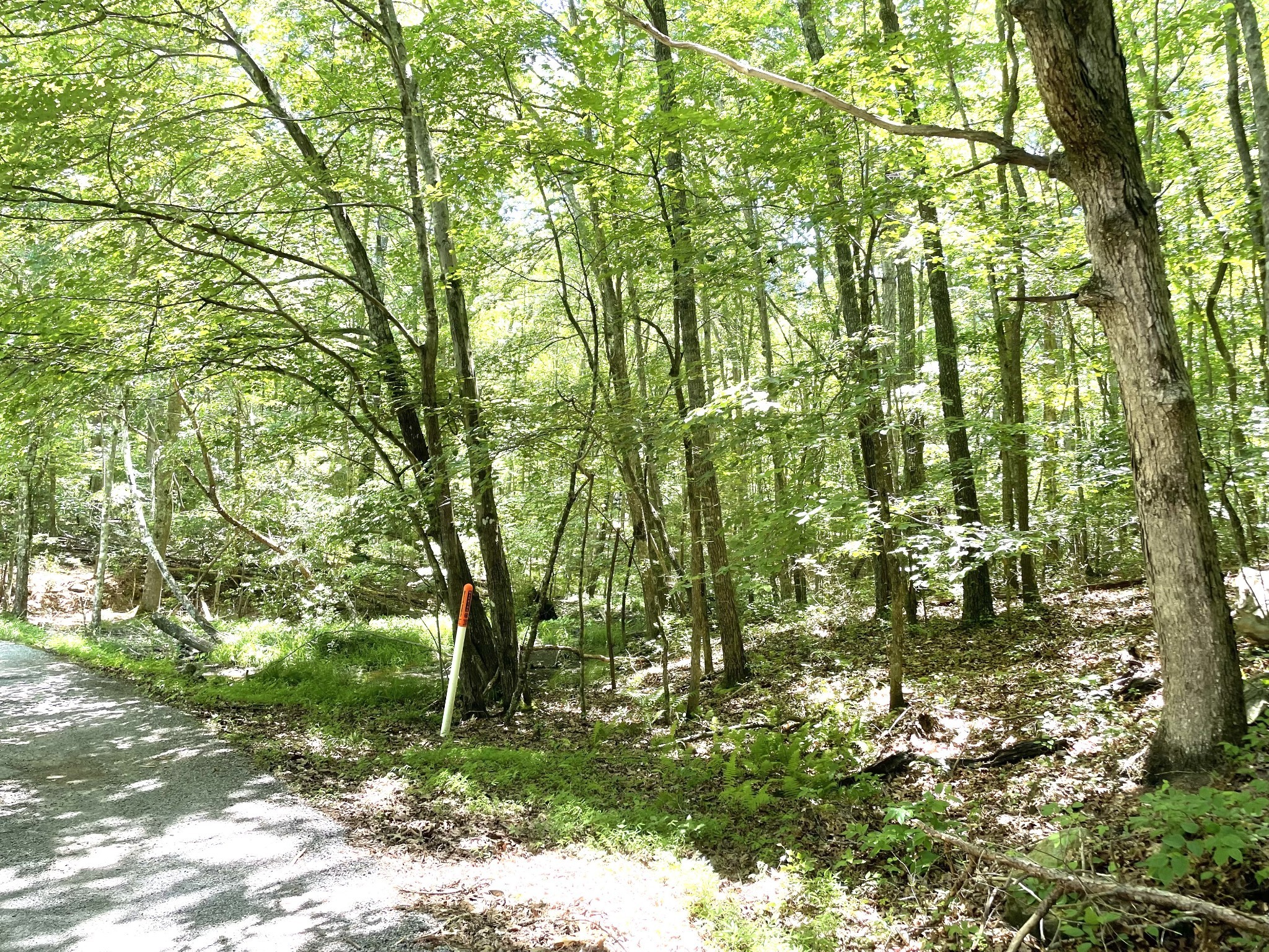 0 Tate Trail Sewanee TN 37375
