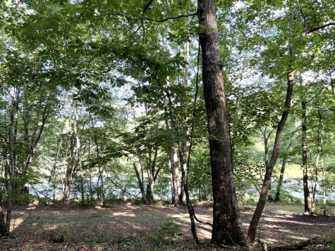 0 Tate Trail Sewanee TN 37375