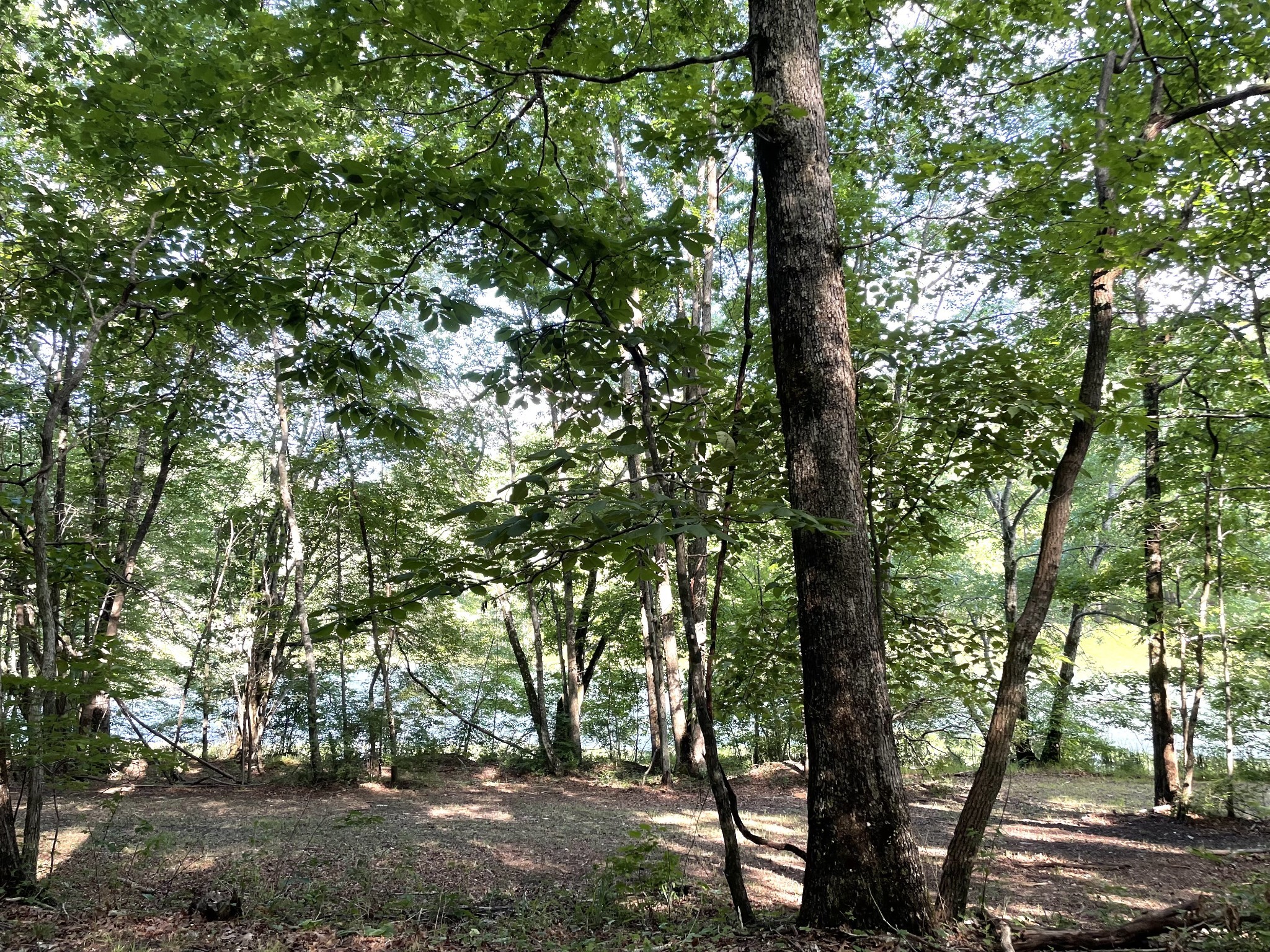 0 Tate Trail Sewanee TN 37375
