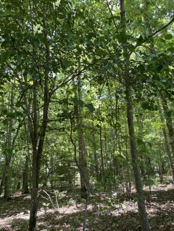 0 Tate Trail Sewanee TN 37375