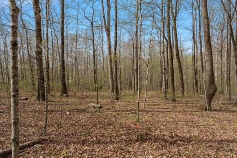 0 Natchez Trace Road Franklin TN 37064