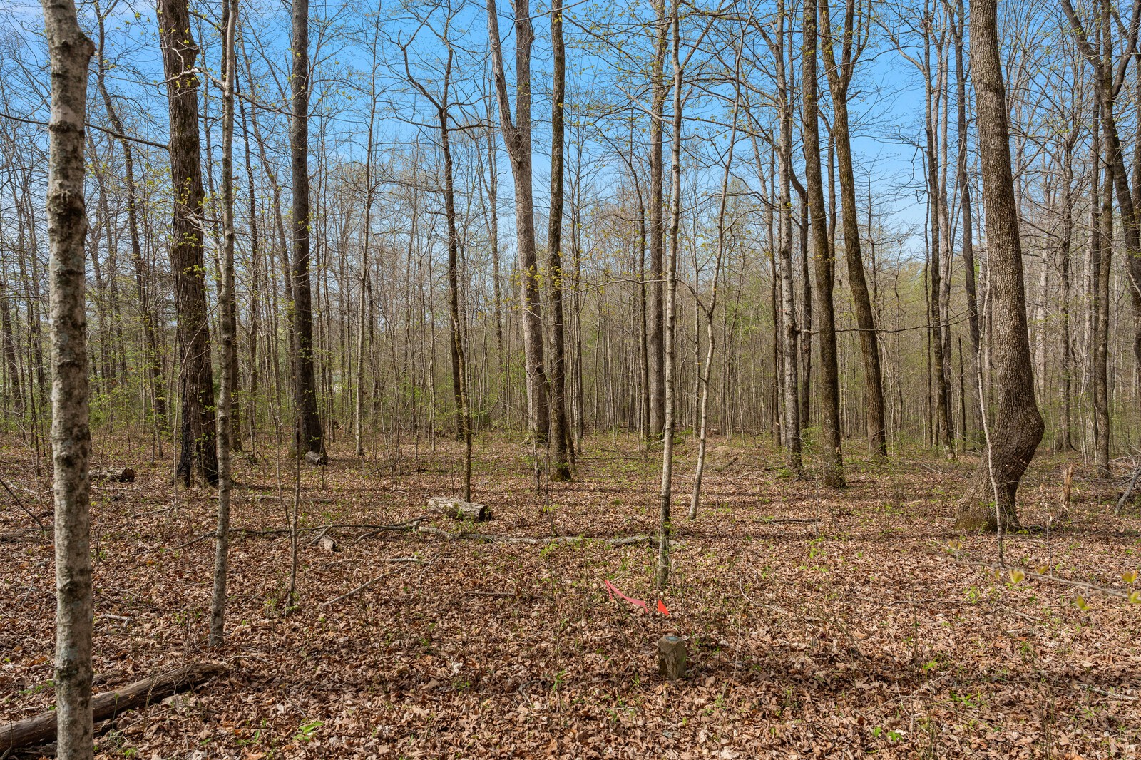 0 Natchez Trace Road Franklin TN 37064