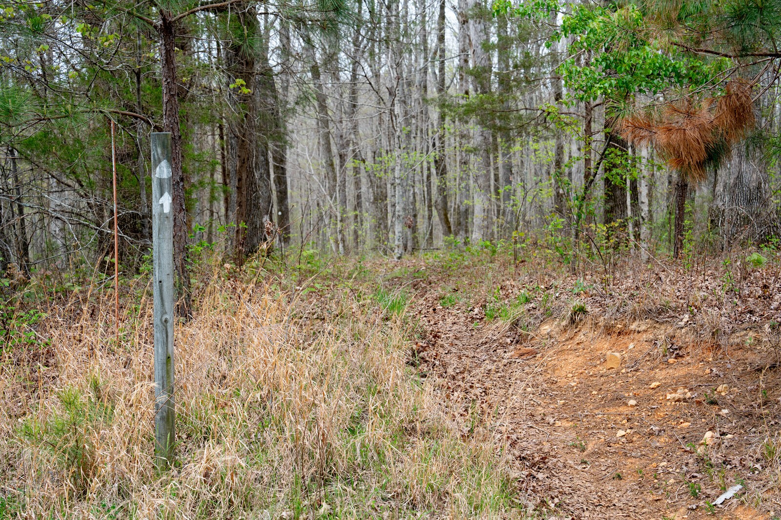 0 Natchez Trace Road Franklin TN 37064