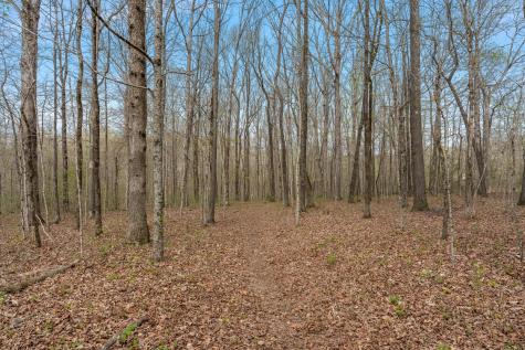 0 Natchez Trace Road Franklin TN 37064