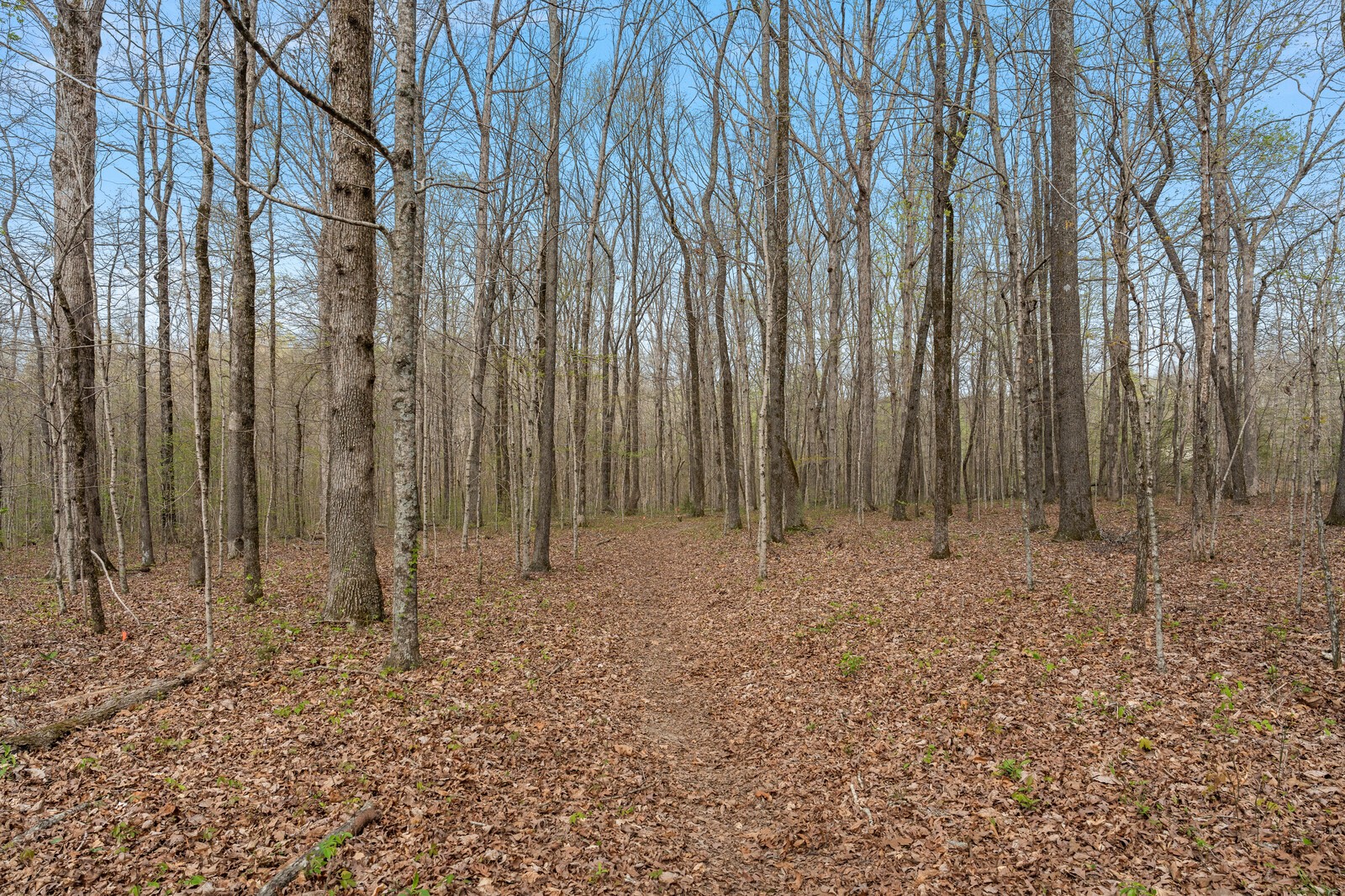 0 Natchez Trace Road Franklin TN 37064