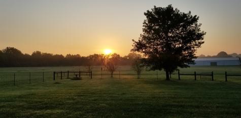 0 Ladd Road Tract 4 Franklin TN 37067