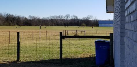 0 Ladd Road Tract 4 Franklin TN 37067