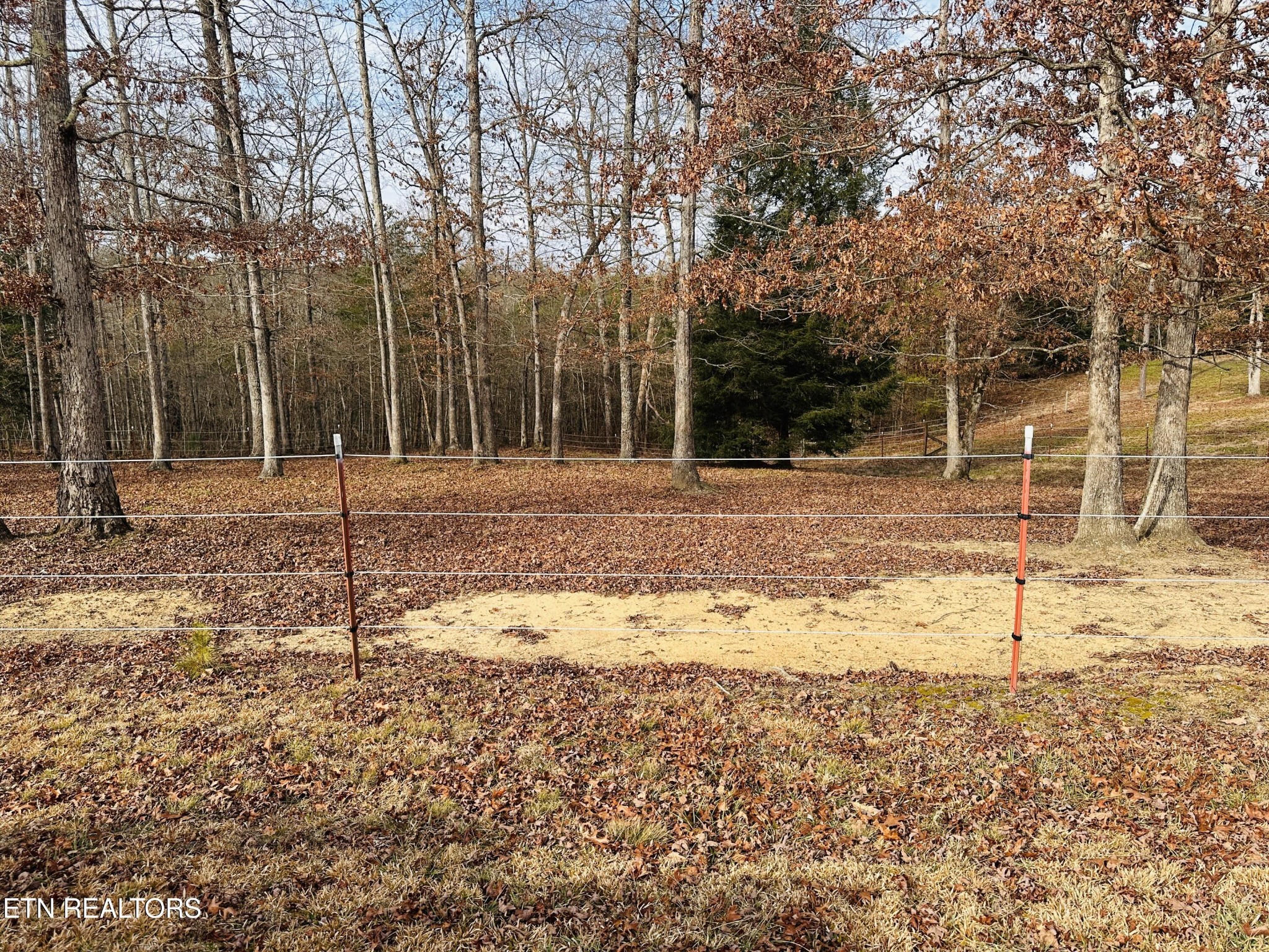 237 Rockview Road Jamestown TN 38556