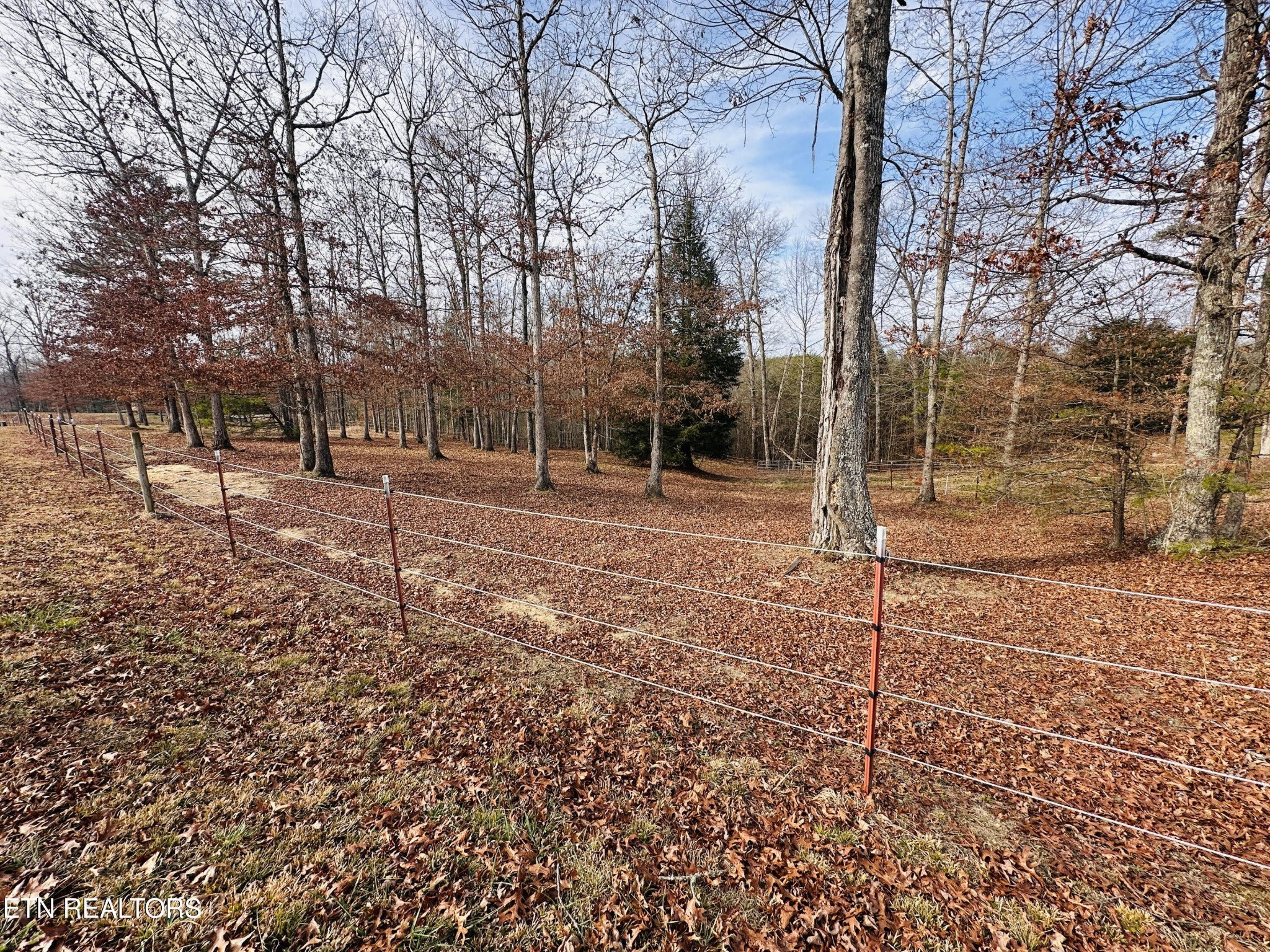 237 Rockview Road Jamestown TN 38556