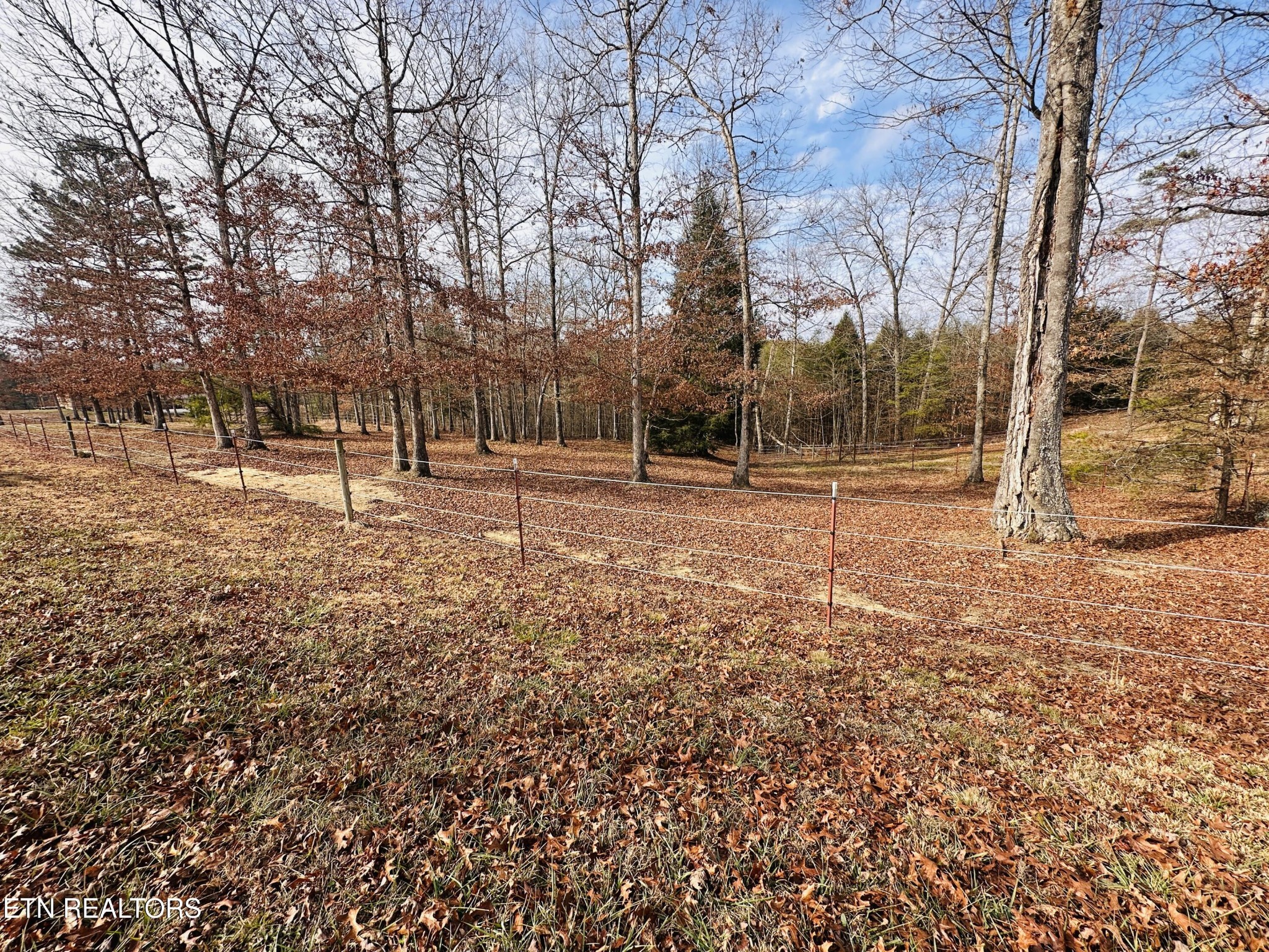 237 Rockview Road Jamestown TN 38556