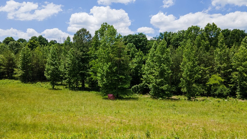 1 State Highway 163 Calhoun TN 37309