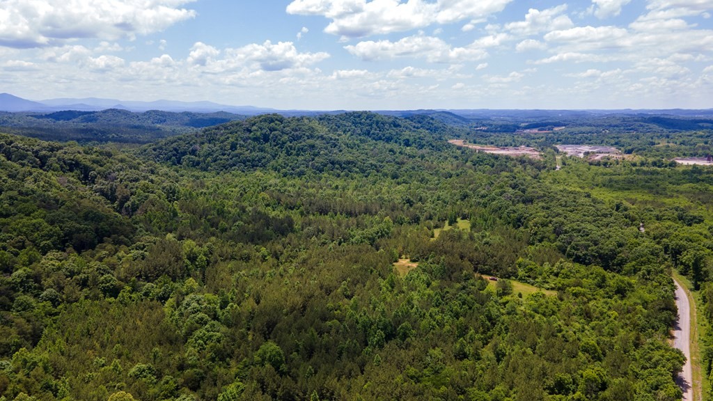 1 State Highway 163 Calhoun TN 37309