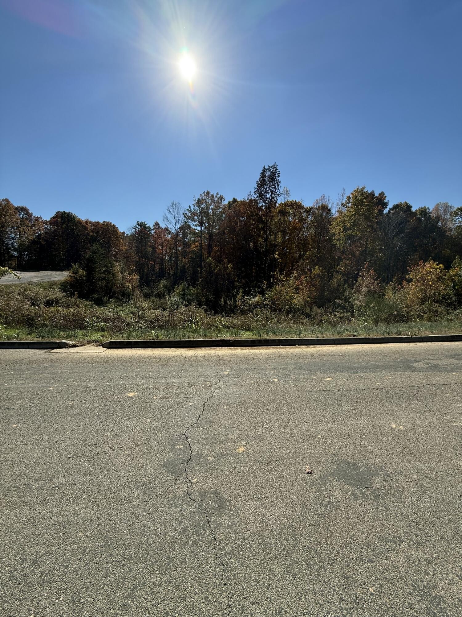 0 Shadows Lawn Drive Athens TN 37303