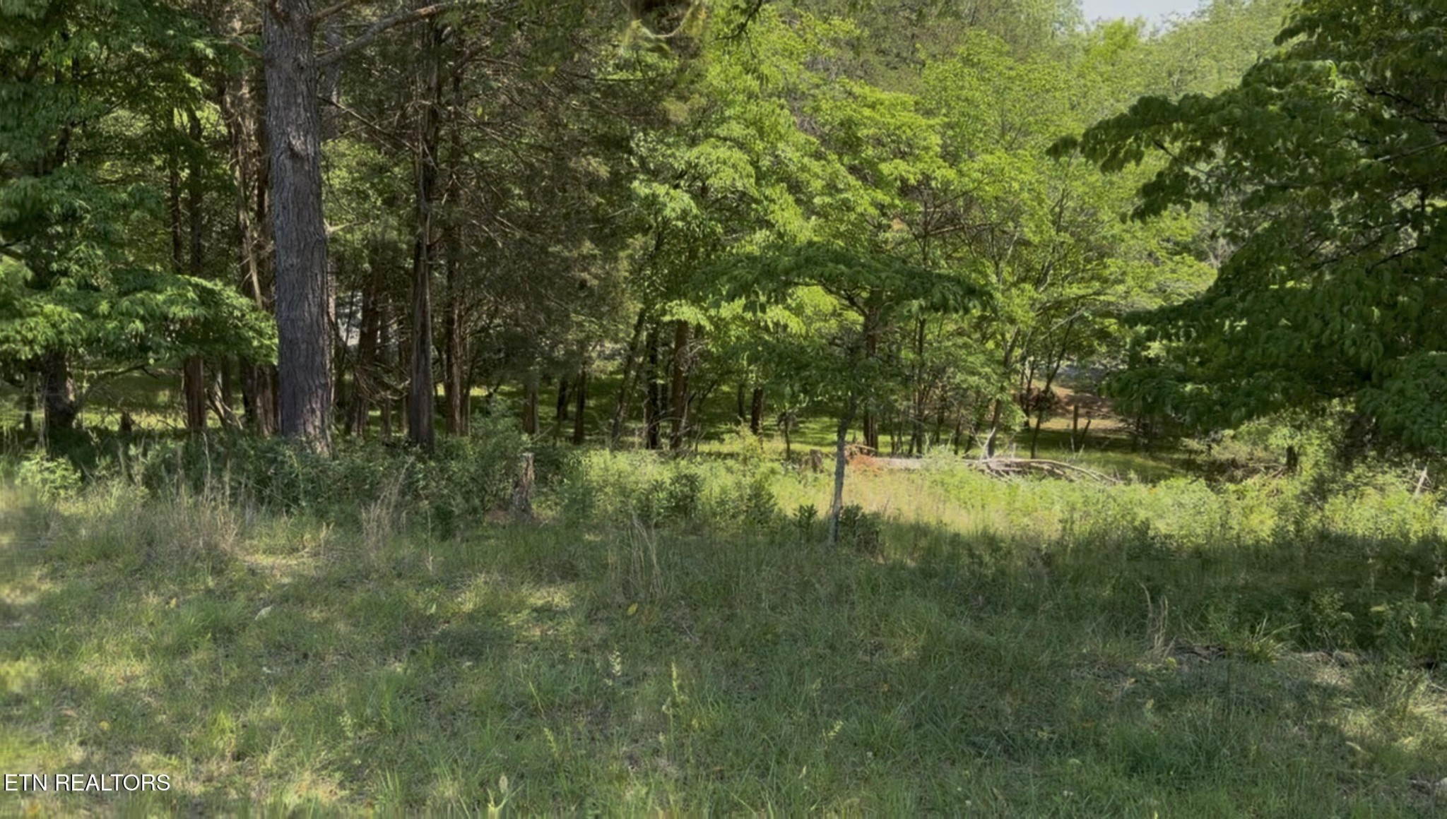 16 Morris Lane Kingston TN 37763