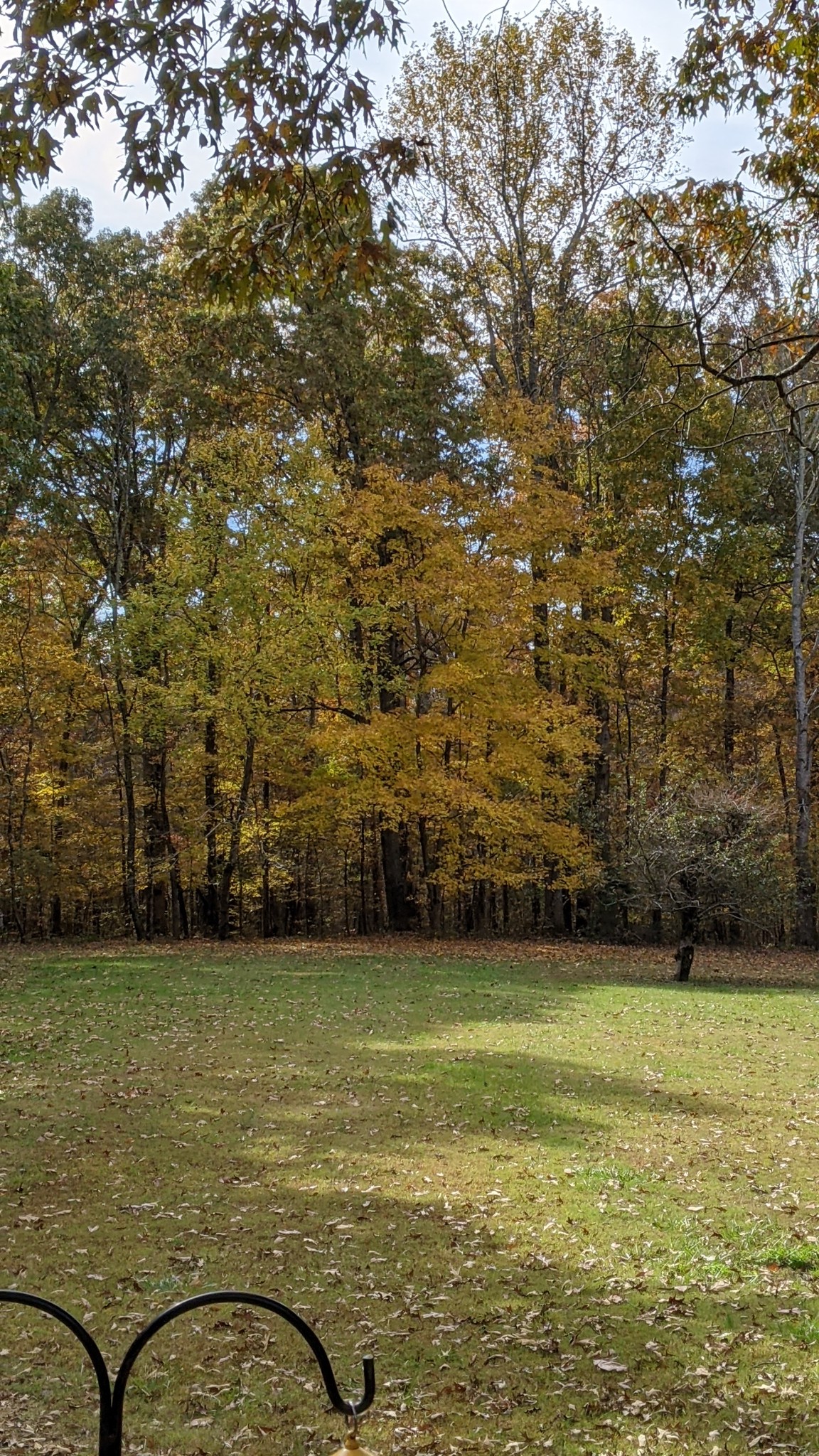 150 Sylvis Road Dickson TN 37055
