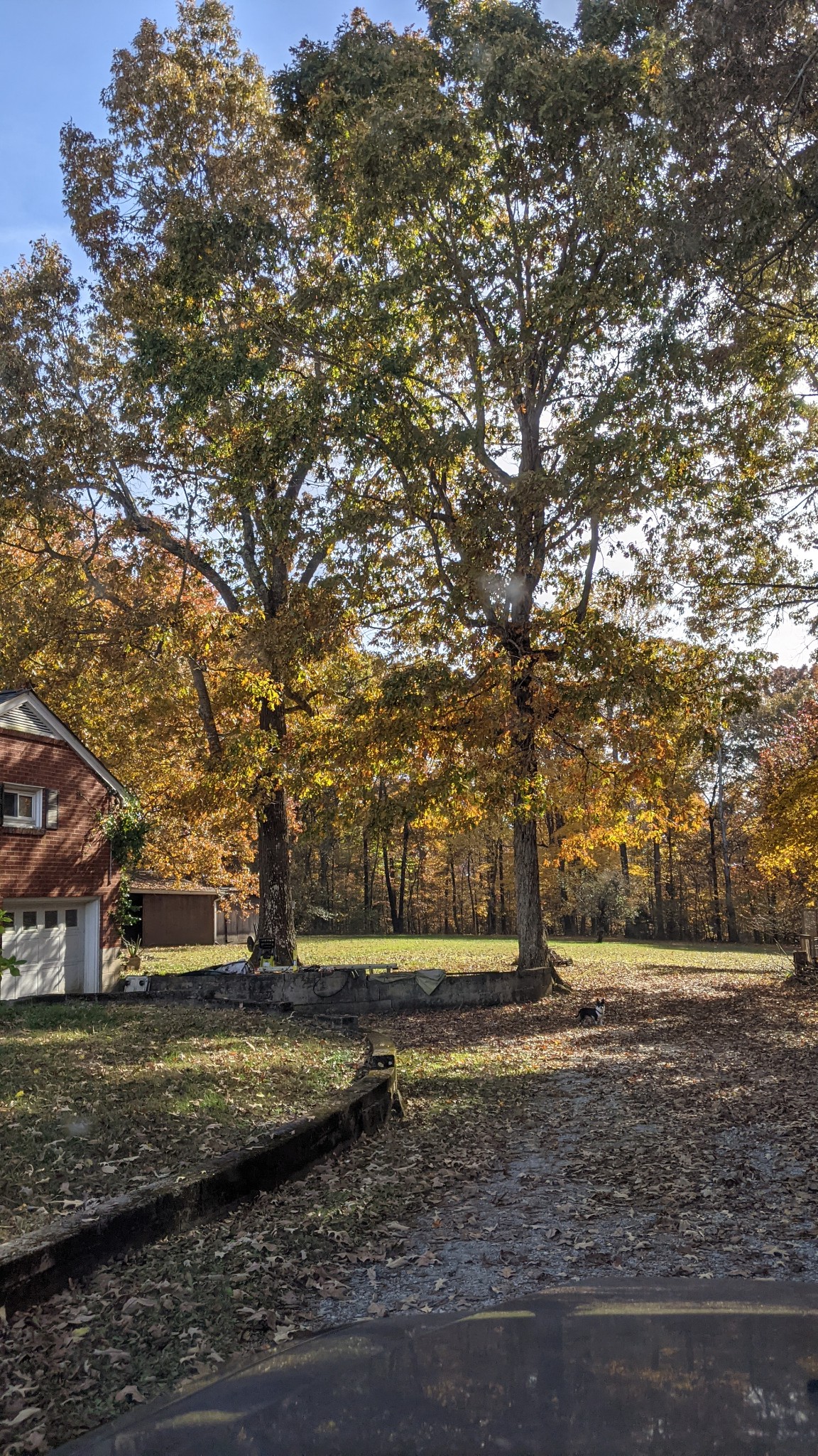 150 Sylvis Road Dickson TN 37055
