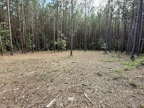 191 Seiber Ridge Road Hohenwald TN 38462
