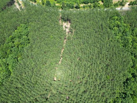 191 Seiber Ridge Road Hohenwald TN 38462