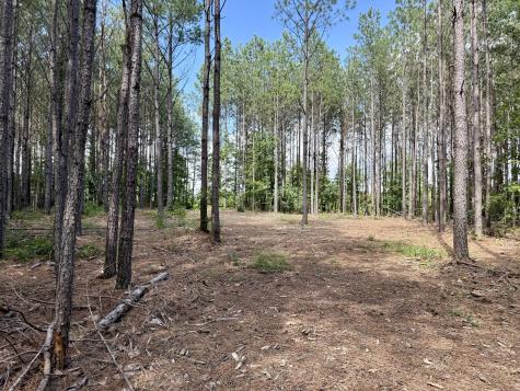 191 Seiber Ridge Road Hohenwald TN 38462