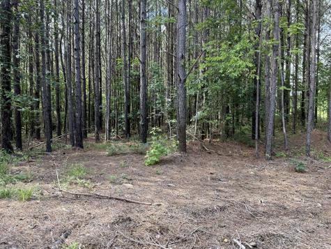 191 Seiber Ridge Road Hohenwald TN 38462