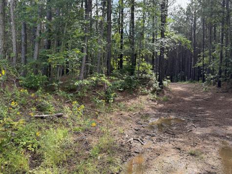 191 Seiber Ridge Road Hohenwald TN 38462