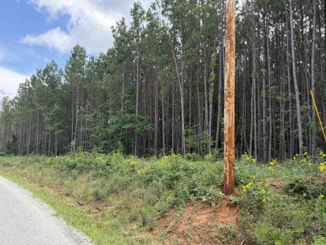 191 Seiber Ridge Road Hohenwald TN 38462