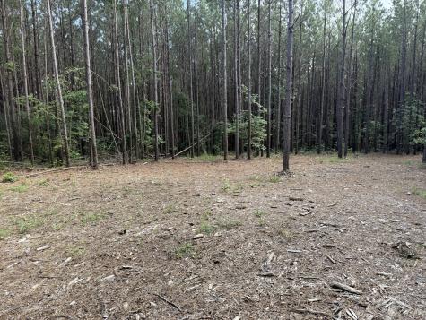 191 Seiber Ridge Road Hohenwald TN 38462