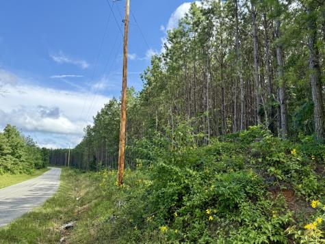 191 Seiber Ridge Road Hohenwald TN 38462