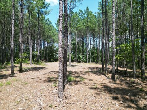 191 Seiber Ridge Road Hohenwald TN 38462