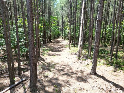191 Seiber Ridge Road Hohenwald TN 38462