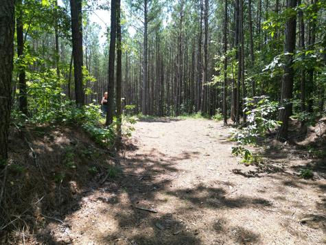 191 Seiber Ridge Road Hohenwald TN 38462