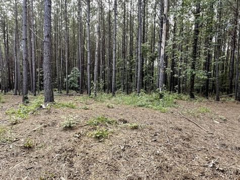 191 Seiber Ridge Road Hohenwald TN 38462