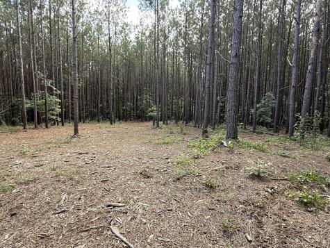 191 Seiber Ridge Road Hohenwald TN 38462