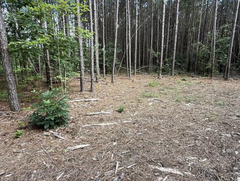 191 Seiber Ridge Road Hohenwald TN 38462
