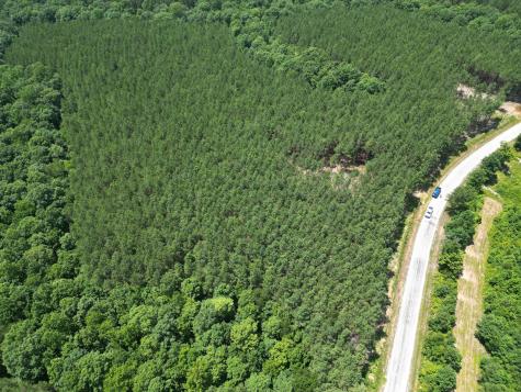 191 Seiber Ridge Road Hohenwald TN 38462