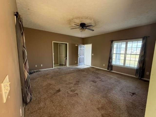 61 Cannon Downs Woodbury TN 37190