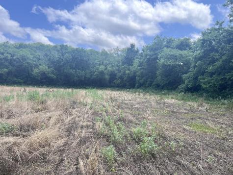 0 Beech Log Road Watertown TN 37184