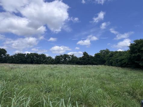 0 Beech Log Road Watertown TN 37184